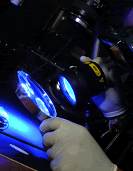 Fingerprint Bureau